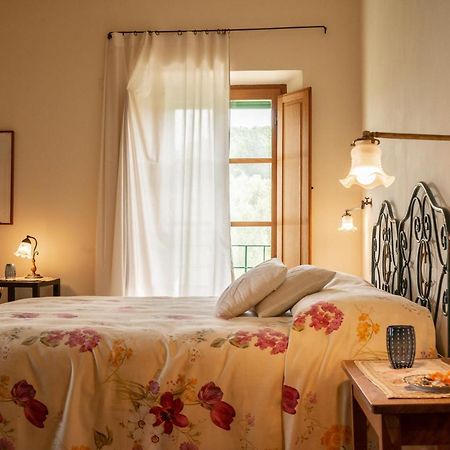 Agriturismo Casa Montecucco Джункарико Экстерьер фото