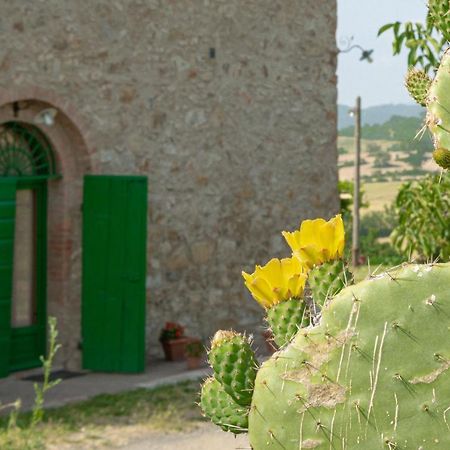 Agriturismo Casa Montecucco Джункарико Экстерьер фото